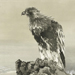Chikudo Kishi Gallery